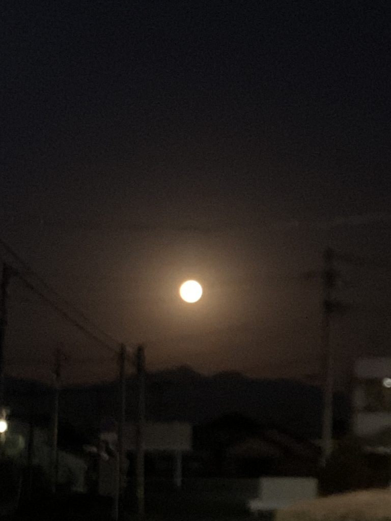 月　千葉